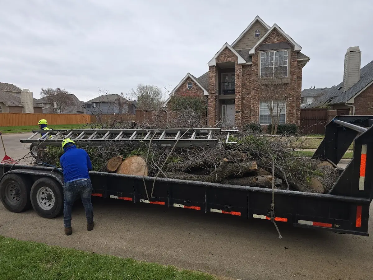 Expert Lot Clearing with proper safety equipment in Dimmitt